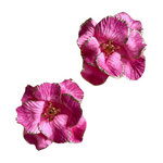 Load image into Gallery viewer, Ombre Blooms
